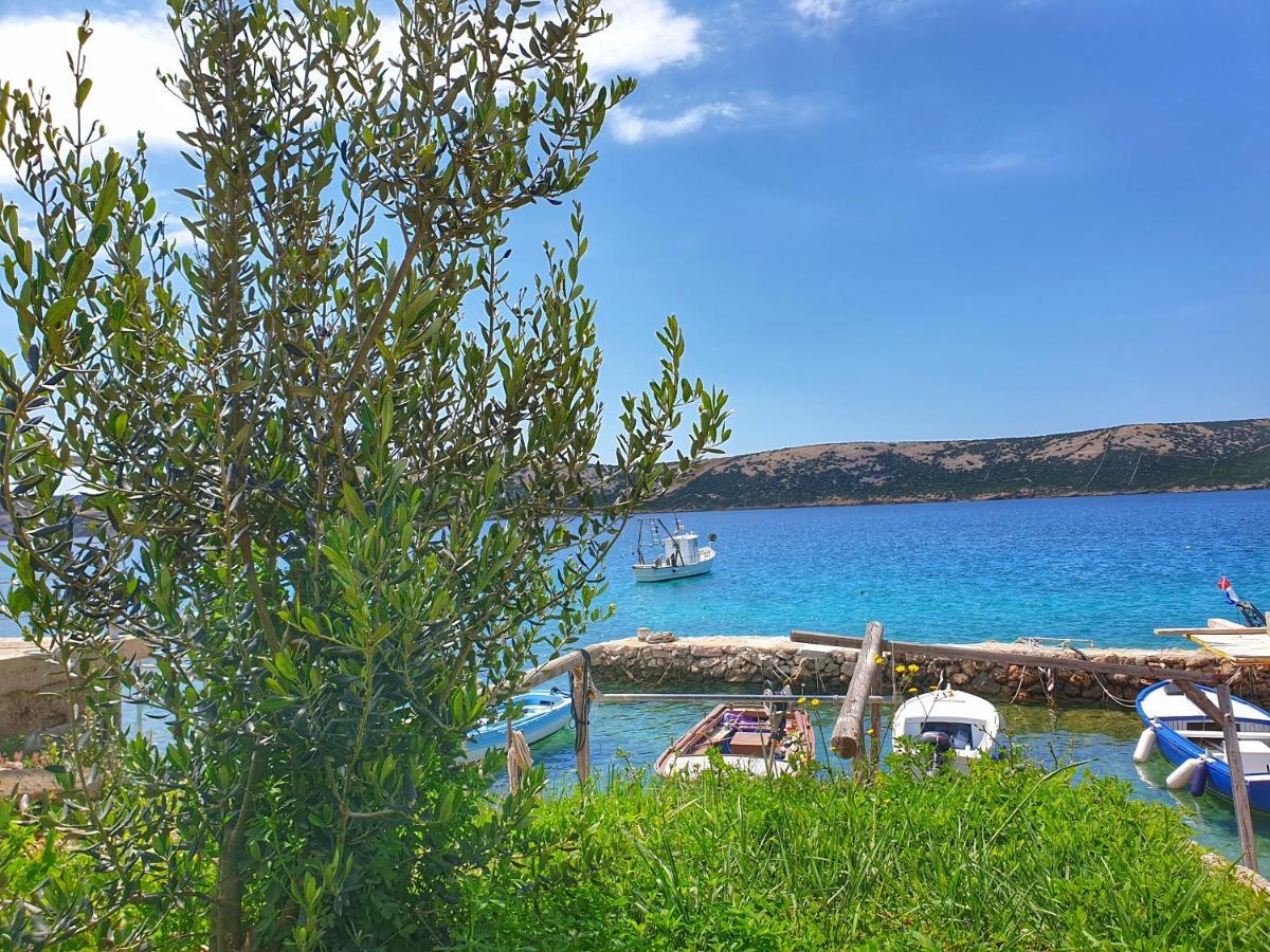 Betanovalja Daire Dış mekan fotoğraf