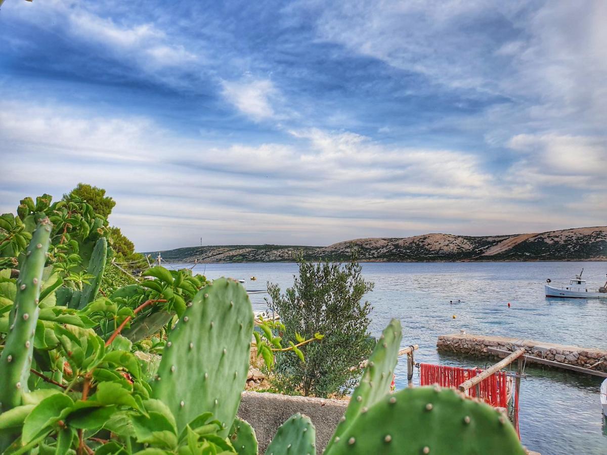Betanovalja Daire Dış mekan fotoğraf